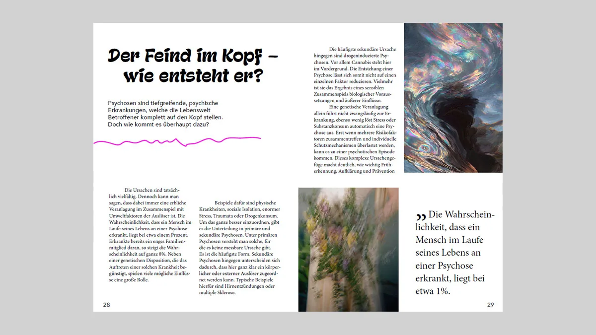 Zwischen Rauschen und Realitäten, Der Feind im Kopf