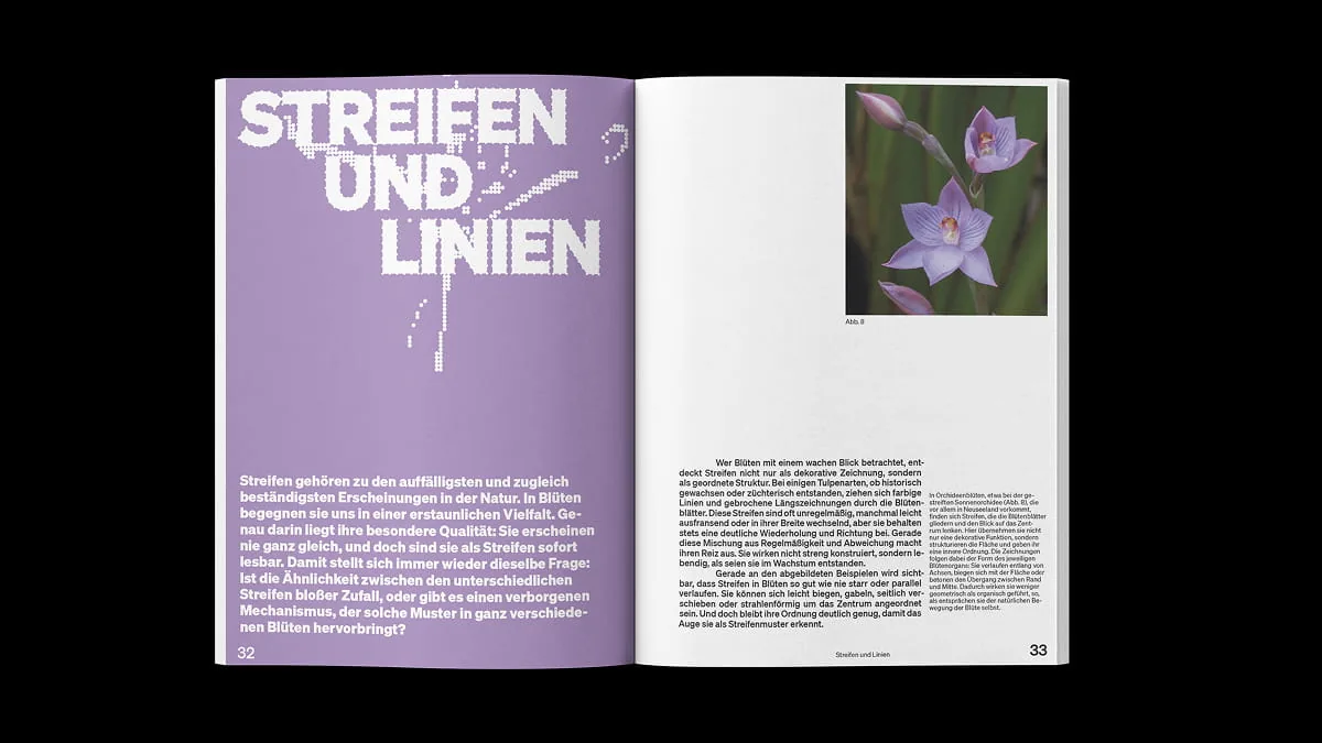 Aufgeschlagene Publikationsseiten „Streifen und Linien