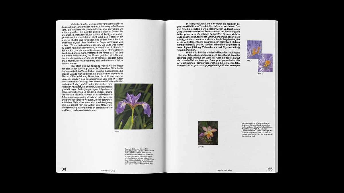 Doppelseite der Publikation mit Fließtext zu Blütenmustern und Fotos von Schwertlilie, Krokus und Freesie