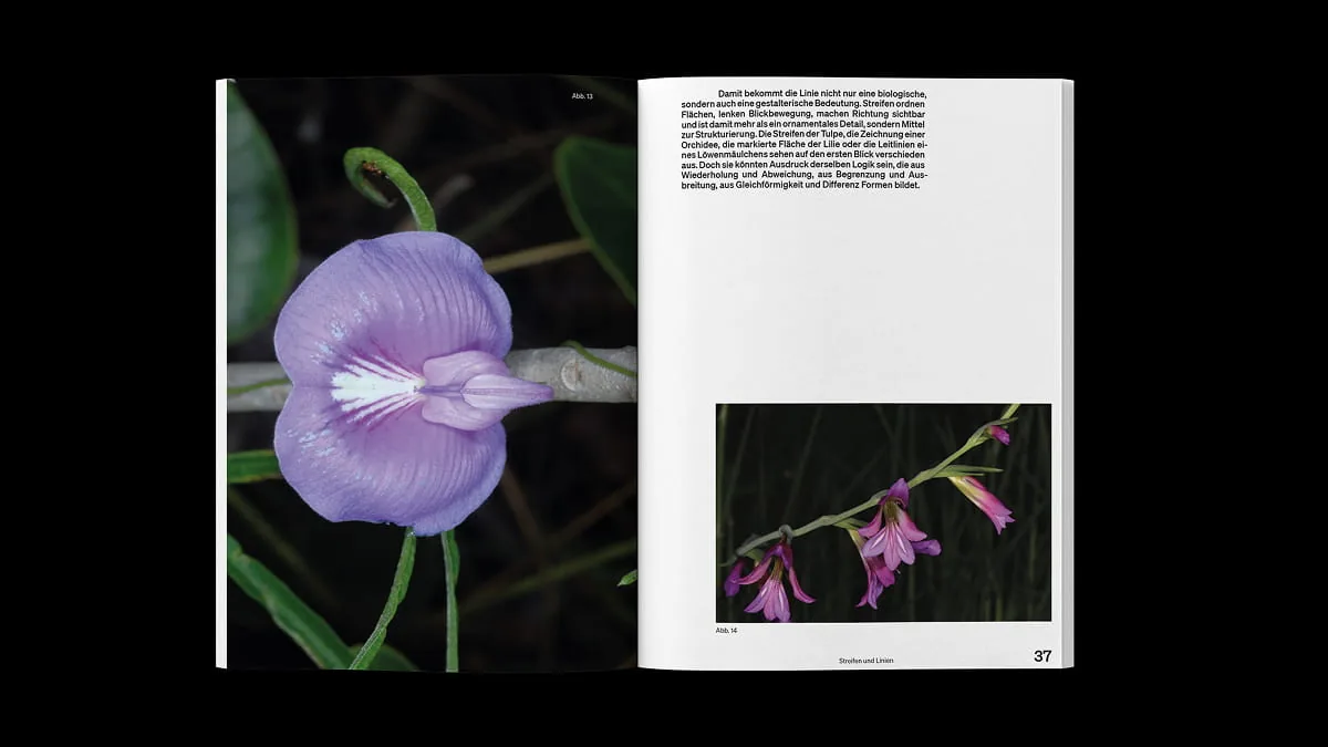Doppelseite mit großformatigem Foto einer violetten Blüte mit gestreifter Zeichnung und erklärendem Fließtext