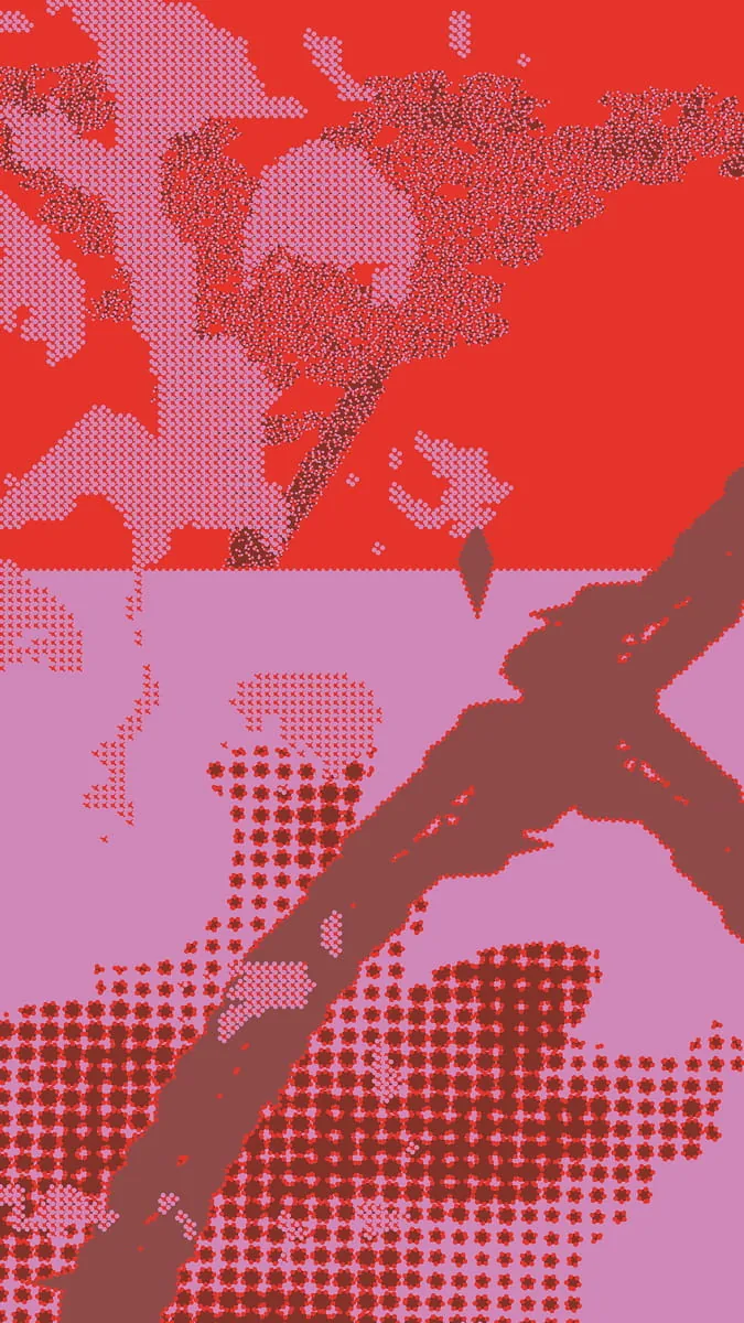 Grafisches Muster-Experiment mit gepunkteten Rasterflächen in Rot und Rosa