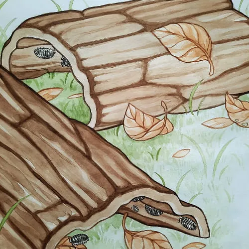 Illustration von Asseln, die sich in hohlen Baumstämmen zwischen Laub und Gras verstecken