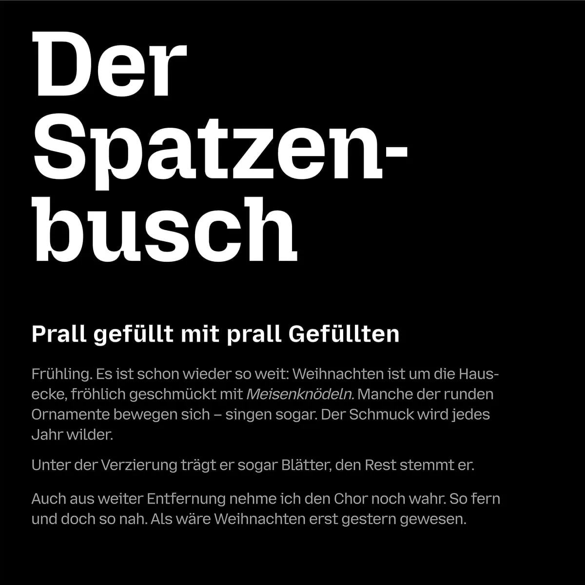 Textseite auf schwarzem Grund mit Überschrift „Der Spatzenbusch