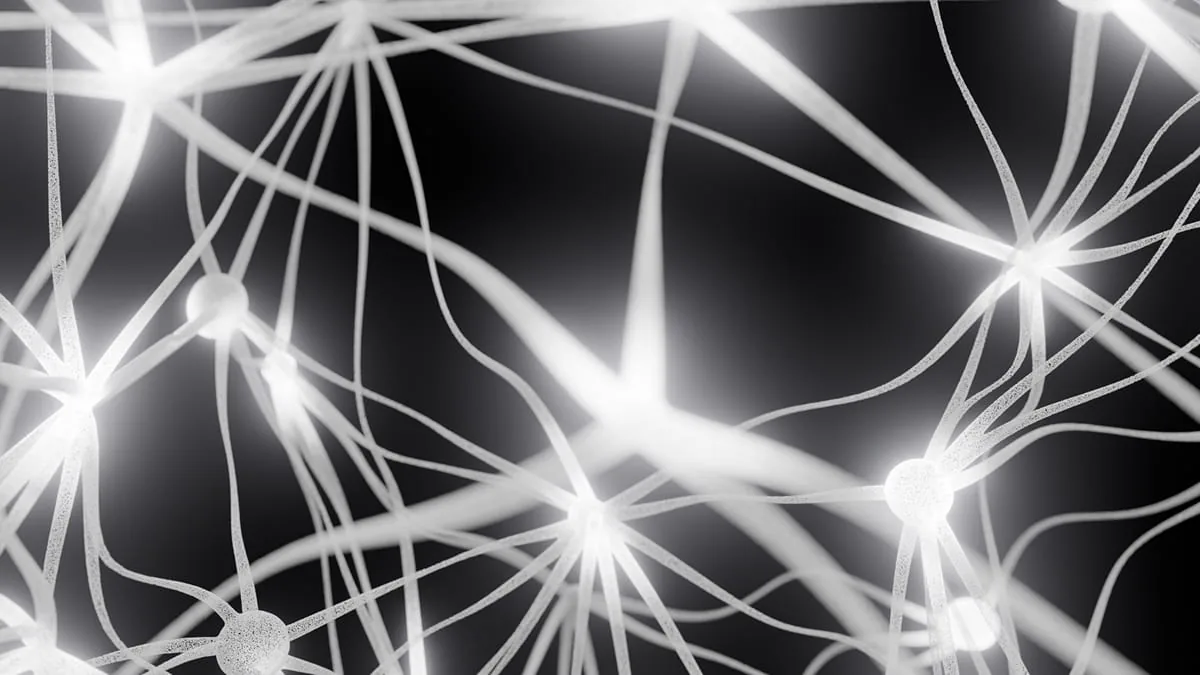 Nahaufnahme eines leuchtenden 3D-Neuronennetzwerks mit verzweigten weißen Strukturen